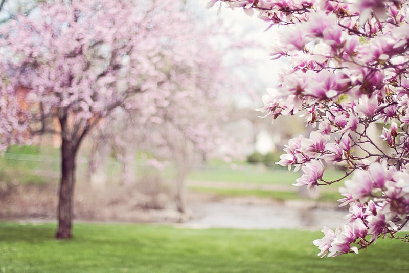 Spring Display